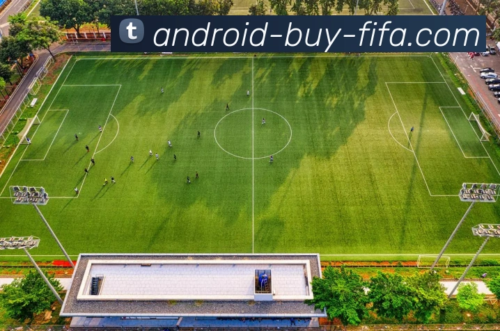 App Interface Preview